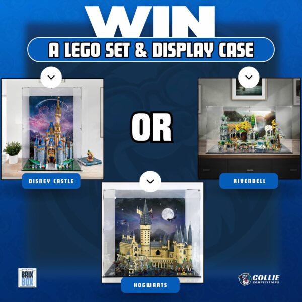 Rivendell Or Disney Castle Or Hogwarts+ Display Case Lego Competition