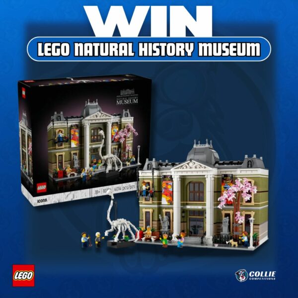 Lego Natural History Museum Competition