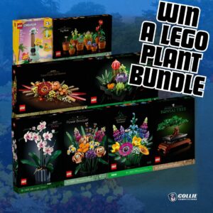 LEgo Plant Bundle competition