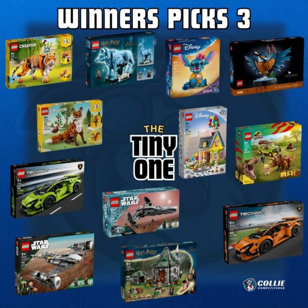 *Auto Draw* Lego The Tiny One – Winner Pick 3 Sets #12