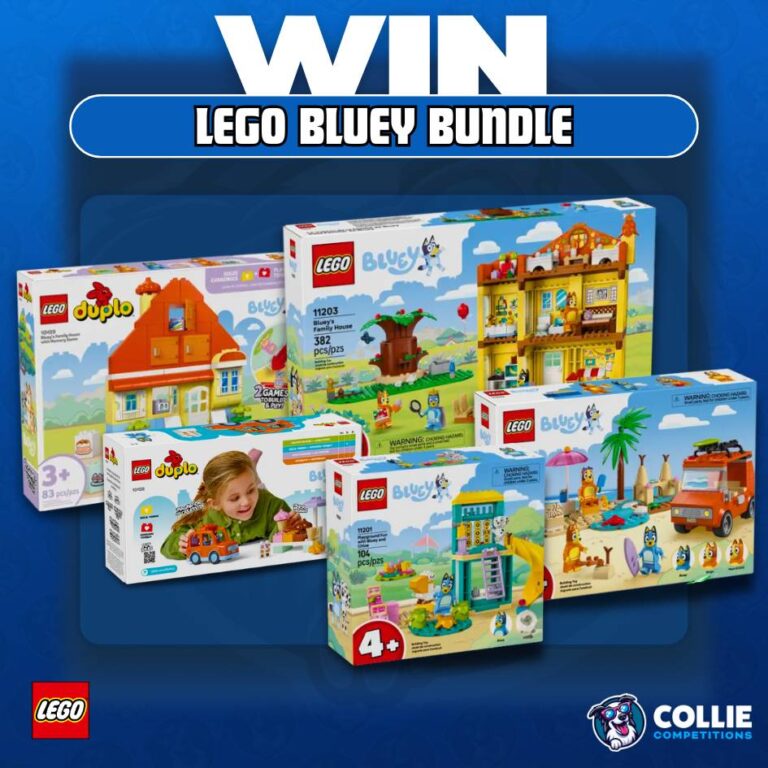 Lego Bluey Bundle #4