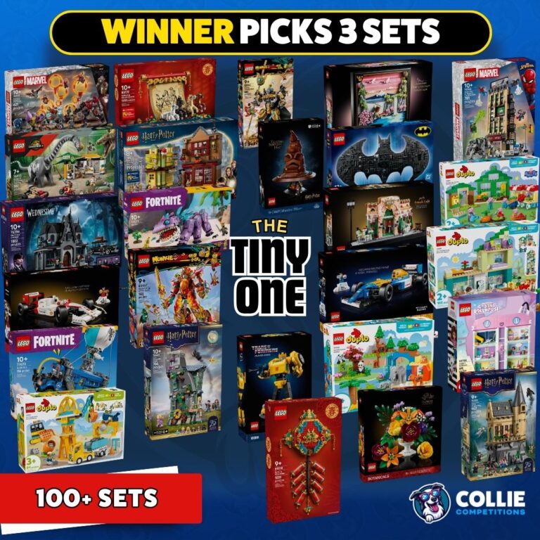 *Auto Draw* The Tiny One - Winner Pick 3 Lego Sets #42