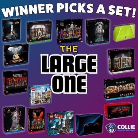Pick a Large One LEGO Set
